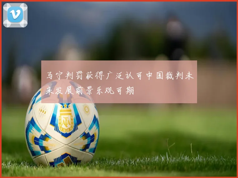马宁判罚获得广泛认可中国裁判未来发展前景乐观可期